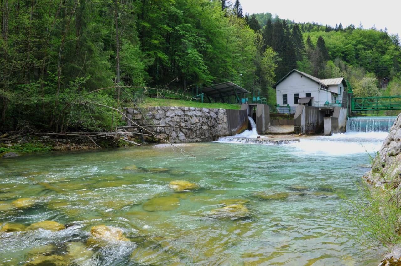 Apartma Marjetica Blejska Dobrava Zewnętrze zdjęcie